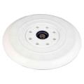 Festool 496106 Planex Replacement Sanding Pad