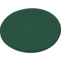 Festool 496508 D150 Green Sanding Vlies