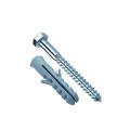 Fischer 42876 Bp Wl8x70 Coach Screw&plug (10)