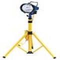 500w 110v T/hal Light + Stand