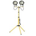 110v Twin 2ft Fluor/light +