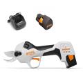 Stihl Asa20 Lopping Shears With As2 & Al1