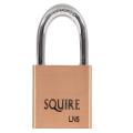 Henry Squire Ln5 Lion Brass Padlock 5pin 50mm