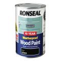 Ronseal 10 Year Weatherproof Wood Paint Black