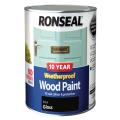 Ronseal 10 Year Weatherproof Wood Paint Black