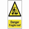Scan Danger Fragile Roof