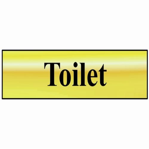 Scan Toilet - Polished Brass Effect
